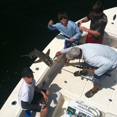 Profile Picture of David Beede (@Shallow_Point) on Twitter