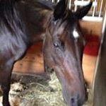 Profile Picture of Janet Peragine (@janetperagine) on Instagram