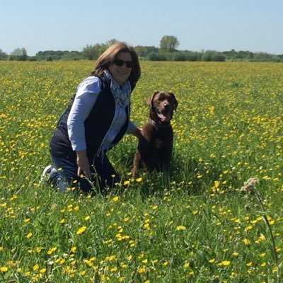 Profile Picture of Cathy Cook (@CathyCo75489458) on Twitter