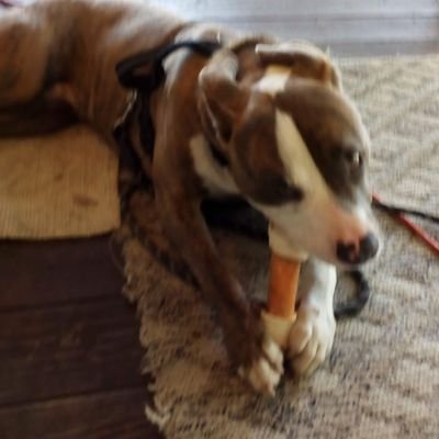 Profile Picture of Scott Ware (@scottwa19622189) on Twitter
