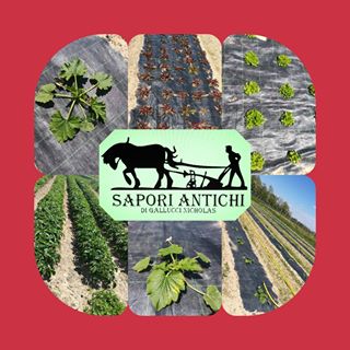 Profile Picture of Nicholas Gallucci (@nicolas.gallucci.77) on Facebook