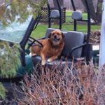 Profile Picture of Jeff Macmillan (@jmacmillan83) on Instagram