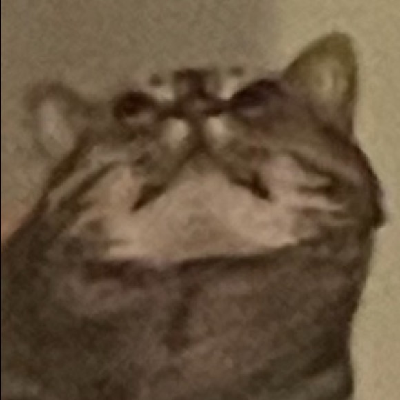 Profile Picture of Nicholas Busbin (@nicholasbusbin) on Poshmark