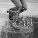 Profile Picture of Tracie Griego (@rubylavendar) on Pinterest