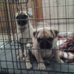 Profile Picture of clancy_cooper123 (@clancy_cooper123) on Instagram