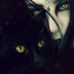 Profile Picture of Bobbie Gantz (@bobbie.gantz.1) on Facebook