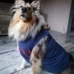 Profile Picture of Stefan Schreiter (@Stefan-Schreiter) on Facebook