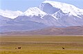 Profile Picture of Gurla Mandhataon Wikipedia