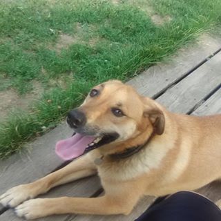 Louis Mckinney - Facebook Profile Picture of Louis Mckinney (@louis.mckinney.7165) on Facebook