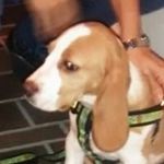 Profile Picture of Claribel Pineda Arcila (@pinedaarcila) on Instagram