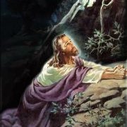 Profile Picture of Adam Kenner (@adam.kenner1) on Myspace