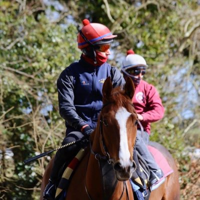 Profile Picture of Nathan Sturm (@nathansturm01) on Twitter
