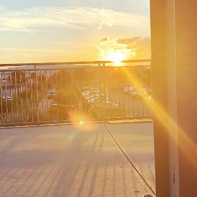 Profile Picture of Hailey Armstrong (@ArmstrongHailey) on Twitter