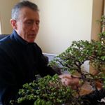 Profile Picture of Stephen Gleeson (@stephengleeson1957) on Instagram
