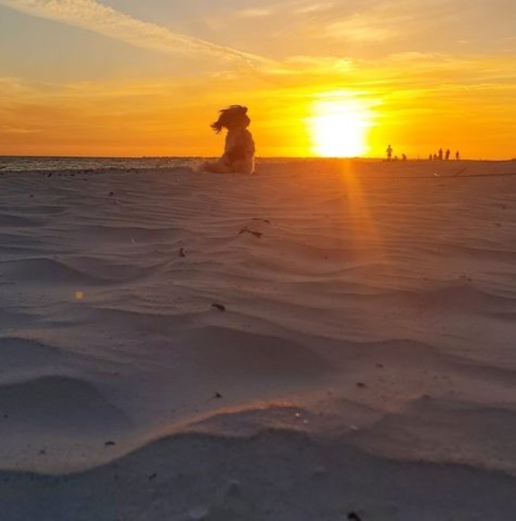 Keith Tolley - Poshmark Profile Picture of Keith Tolley (@mxtater9) on Poshmark