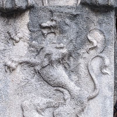 Profile Picture of Jason Lin (@JLinSMBioPhy) on Twitter