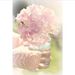 Profile Picture of Effat Sibeeh (@effatsibeeh) on Pinterest
