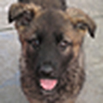 Profile Picture of Addie  Mehis (@addie.mehis) on Flickr