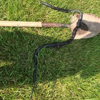 Profile Picture of Andrew Morgan (@andrewmorgan1) on Instagram