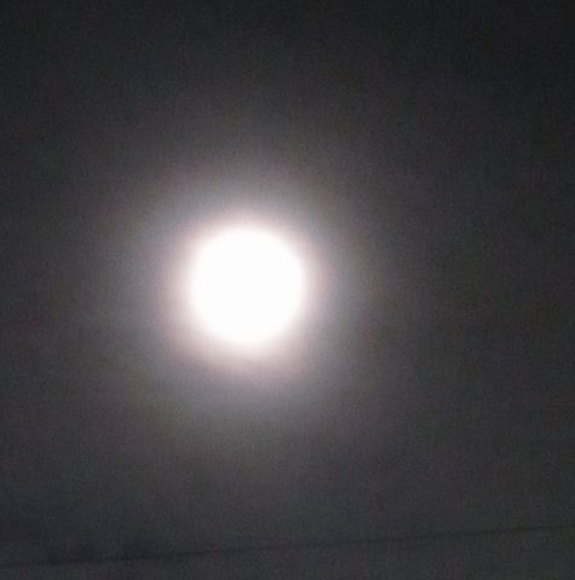 Profile Picture of Patty Alvarez (@adacor) on Poshmark