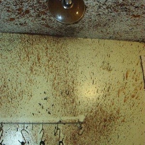 Profile Picture of Alice Raposo (@177482064) on Myspace