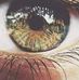 Profile Picture of Belasri Belasri (@belasri.belasri.5) on Facebook