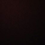 Profile Picture of Nicholas Steady Dharmawan (@nicholas.steady) on Instagram