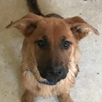 Profile Picture of Kimberly Wiggins (@kimolabear) on Instagram