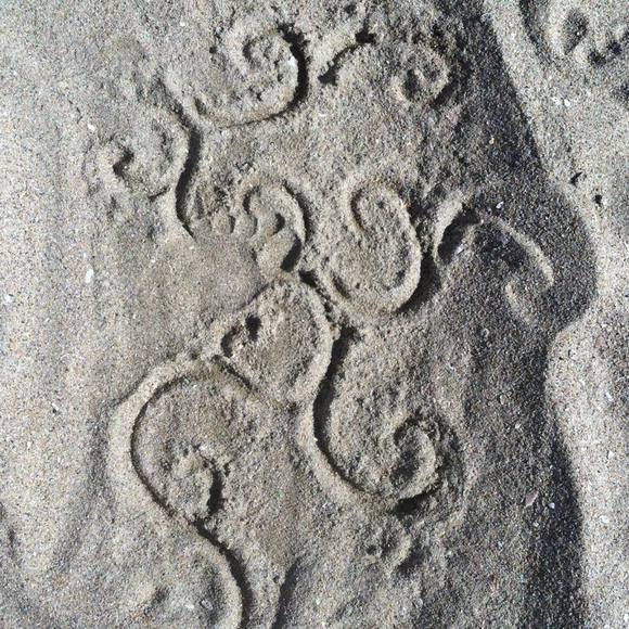 Profile Picture of Pamela Voges (@pamelavoges) on Poshmark