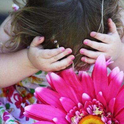 Profile Picture of Terry (@TomTer5) on Twitter