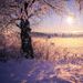 Profile Picture of Chase Kelley (@chase300091546) on Pinterest
