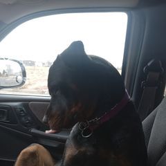Profile Picture of Michael Frison (@michael.frison3) on Tiktok