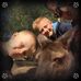 Profile Picture of Peter Busse (@peter.busse.12) on Facebook