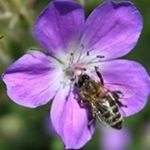 Profile Picture of Joachim Becker (@joachim.becker.184) on Instagram