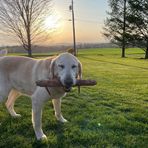 Profile Picture of Richard Schoffstall (@richard.schoffstall) on Facebook