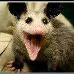 Profile Picture of huntercolley5 (@hunter_colley5) on Instagram