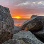 Profile Picture of Shaun Willhite (@shaunwillhite) on Instagram