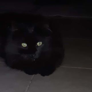 Profile Picture of Alessandro Schiavone (@alessandro.schiavone.528) on Facebook