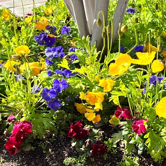 Profile Picture of Loretta Madera (@loreli777) on Poshmark