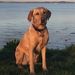 Profile Picture of Kevin Swanton (@kevinswanton) on Pinterest