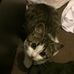 Profile Picture of Stephen Shirley (@stephen.shirley.100046) on Facebook