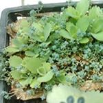 Profile Picture of 張信萍 (@xinping.zhang2) on Instagram