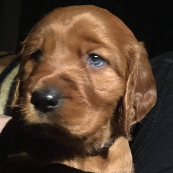 Profile Picture of Pat Kemblowski (@pbkemblo) on Poshmark