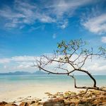 Profile Picture of Susan Koch (@susan.koch.547) on Instagram