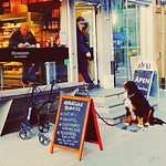 Profile Picture of John Bowen (@john_bowen) on Flickr