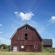 Profile Picture of Pamela Walker (@thespottedhen) on Pinterest