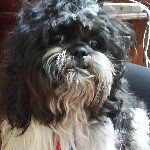 Profile Picture of Karel de Alvarez (@karel.dealvarez) on Instagram