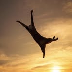 Profile Picture of Tong Lu (@tong.lu.37819) on Facebook