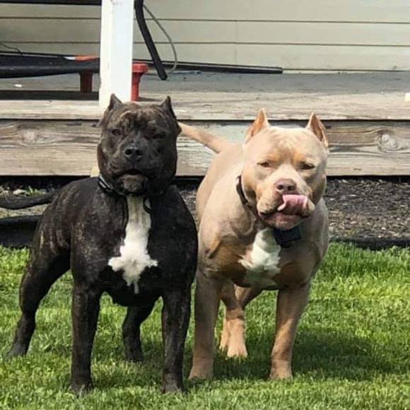 Profile Picture of Chad Prewitt (@ratailjimy) on Poshmark