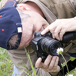 Profile Picture of Steve Oliphant (@Stephen Oliphant Nature Photography) on Flickr